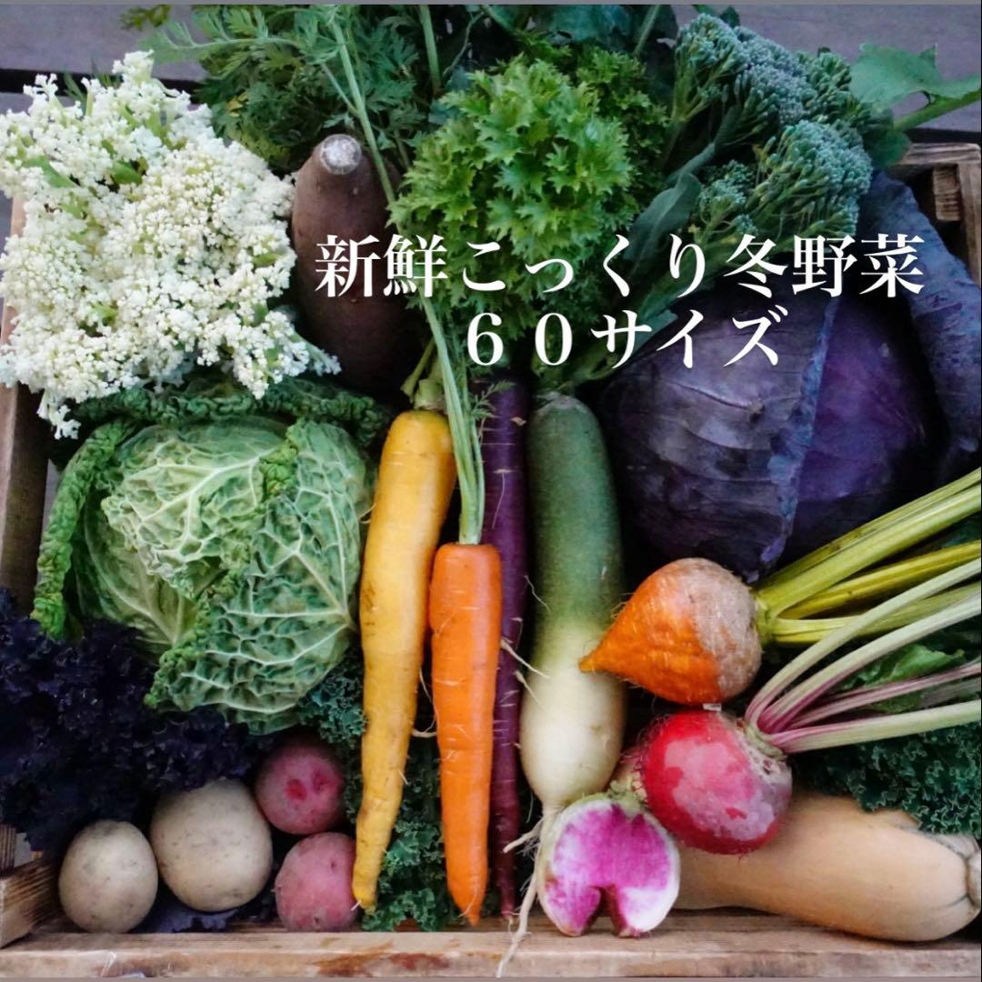 メルカリshopsへ移行しました！