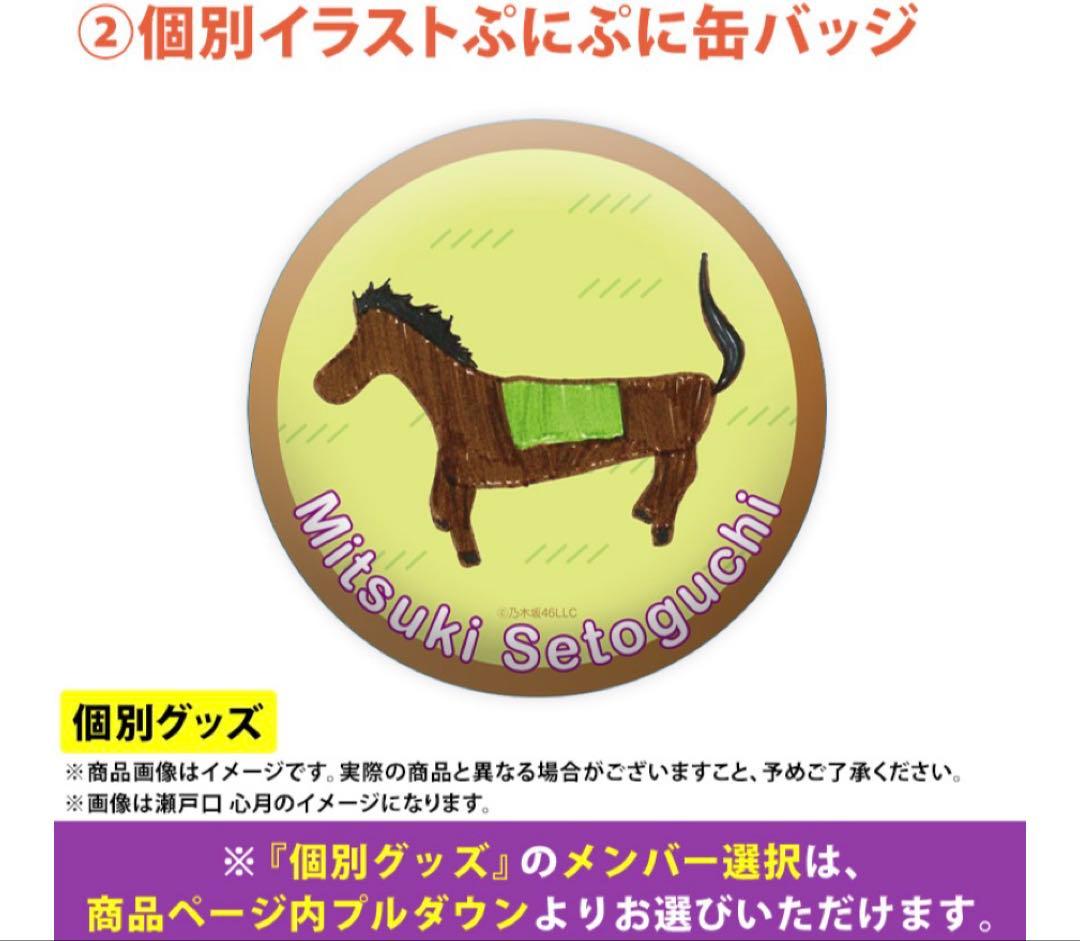 乃木坂46 遠藤さくら lucky bag A グッズまとめ売り