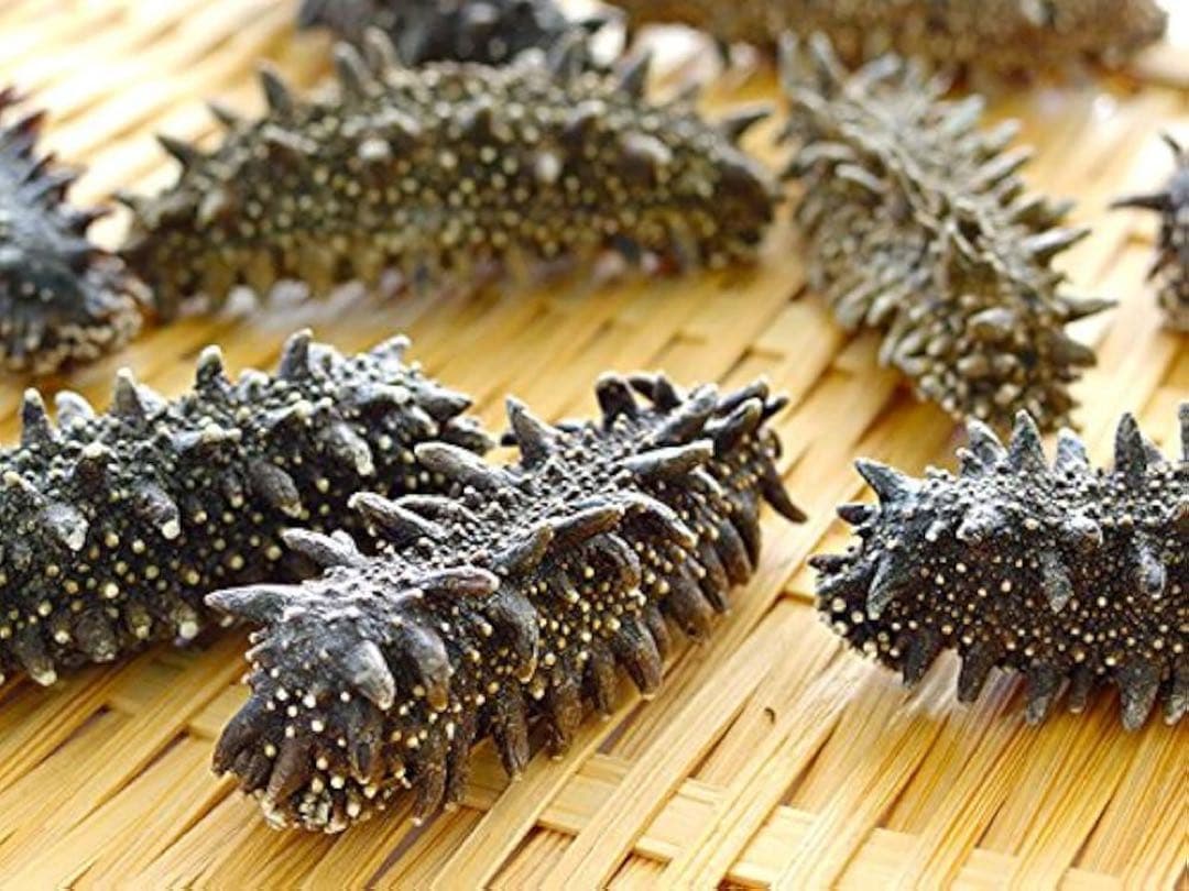 【北海道産】 乾燥なまこ 天然 厳選A級品 200g